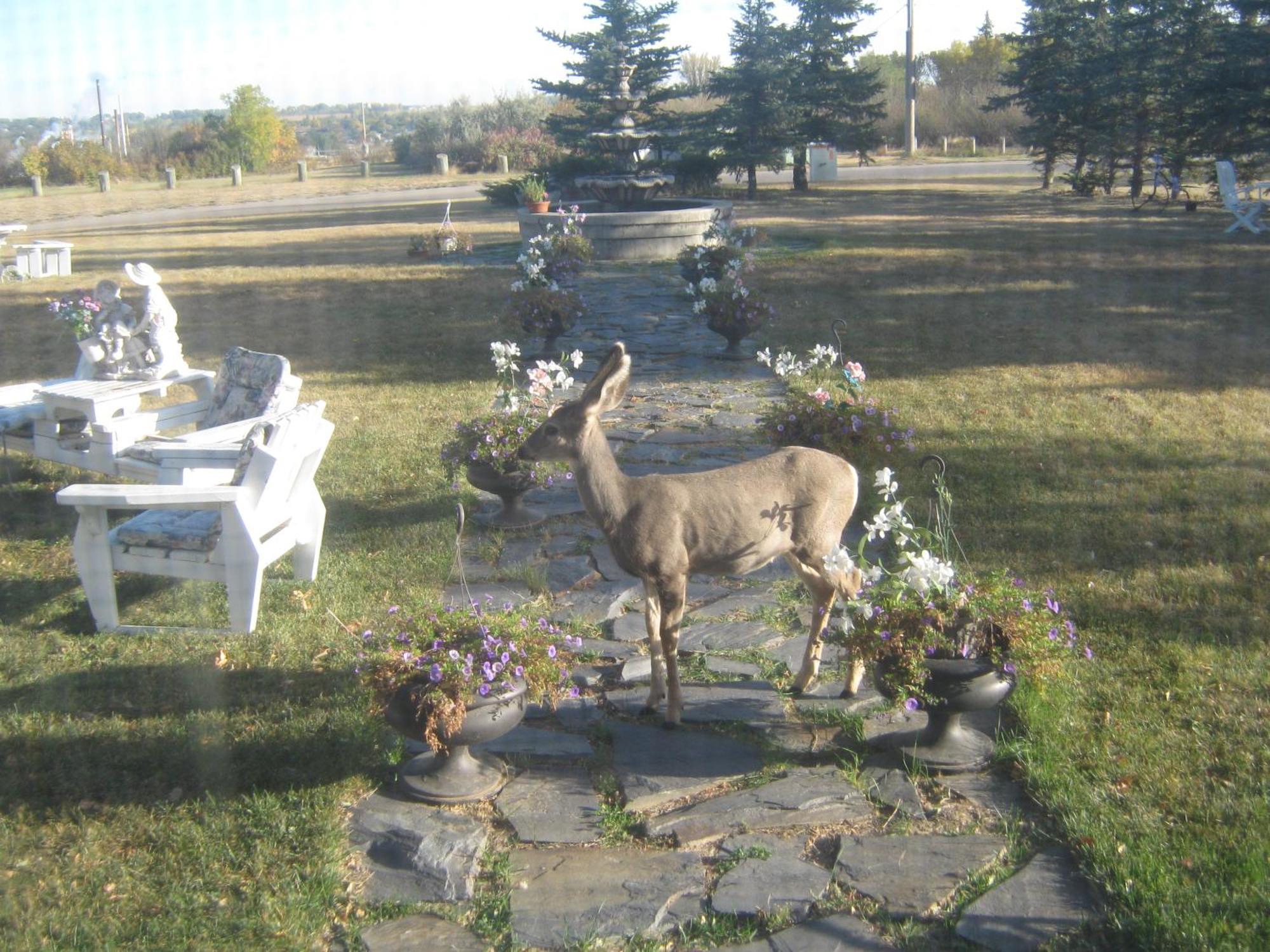 Wakamow Heights Bed And Breakfast Moose Jaw Dış mekan fotoğraf